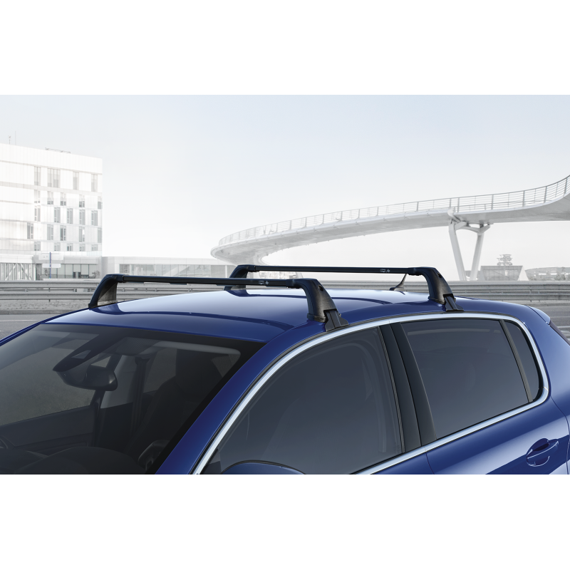 Peugeot 308 T9 Portbagaj Barı Seti     1613509880