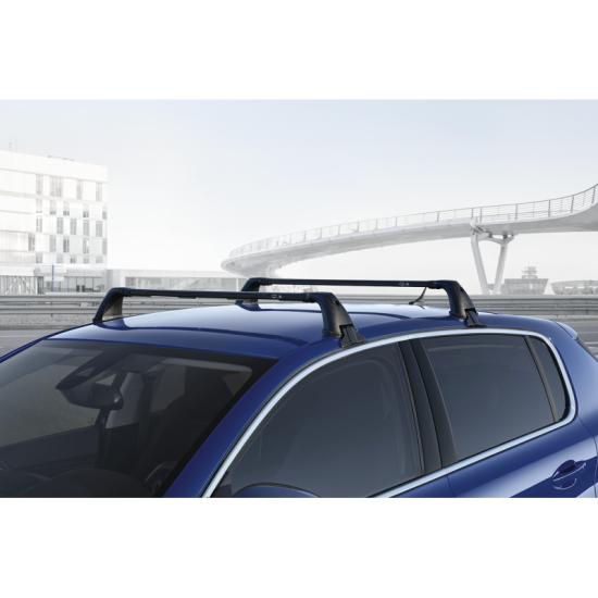 Peugeot 308 T9 Portbagaj Barı Seti     1613509880