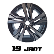Peugeot 308 19 Jant